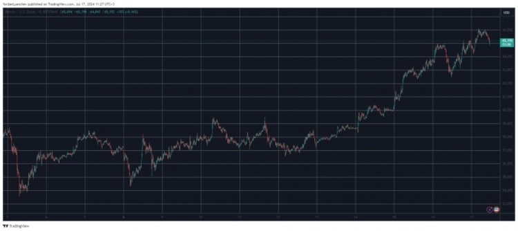 BTC止步于66000美元比特幣的價格走勢在本月初經(jīng)歷了極大的動蕩最終在7月