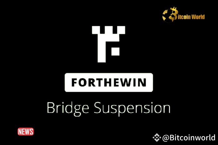 Forthewin Network 識別并修復 Neo 到以太坊和 Polygon Bridge 合約中的錯誤