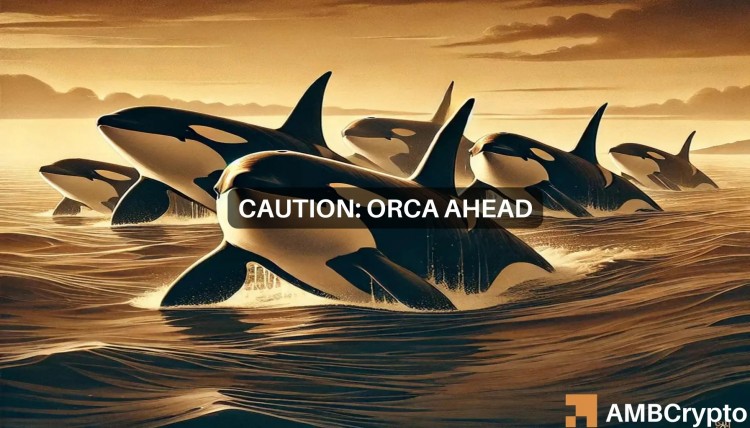 Orca 加密貨幣價格預測：前方是買入機會，還是牛市陷阱？