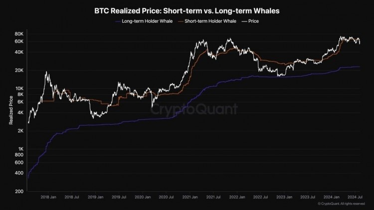 鯨魚是比特幣市場的關鍵參與者他們的買賣活動顯著影響價格波動和整體趨勢